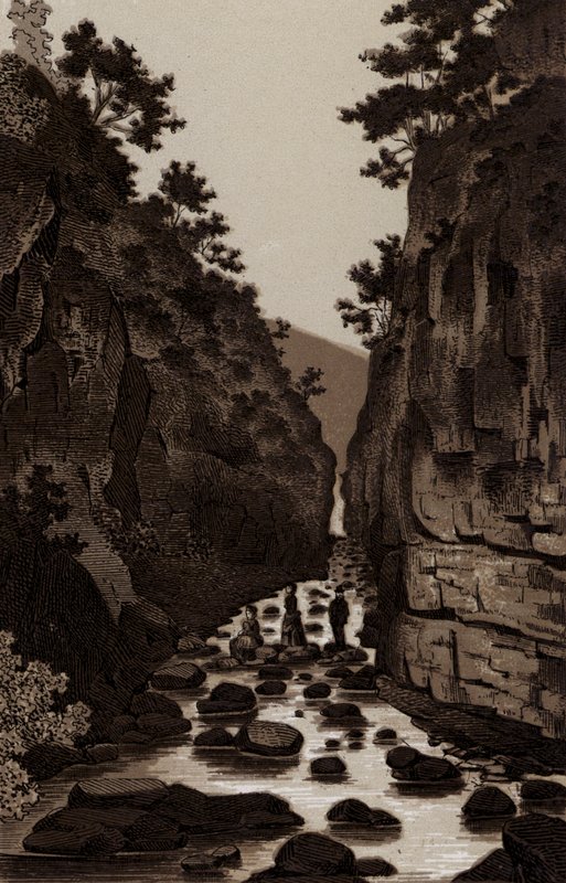 Lovers Leap (litho) od English School