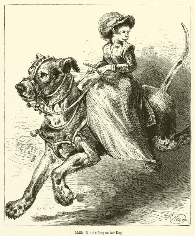 Mademoiselle Minie jede na svém psovi (rytina) od English School