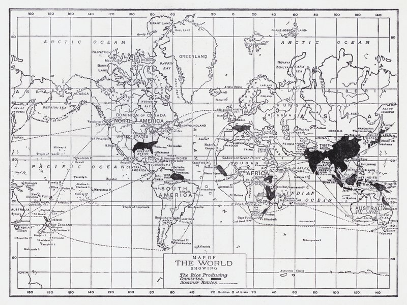 Mapa světa s vyznačením zemí produkujících rýži (litografie) od English School