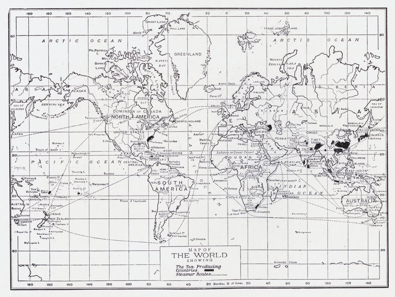 Mapa světa zobrazující země produkující čaj od English School