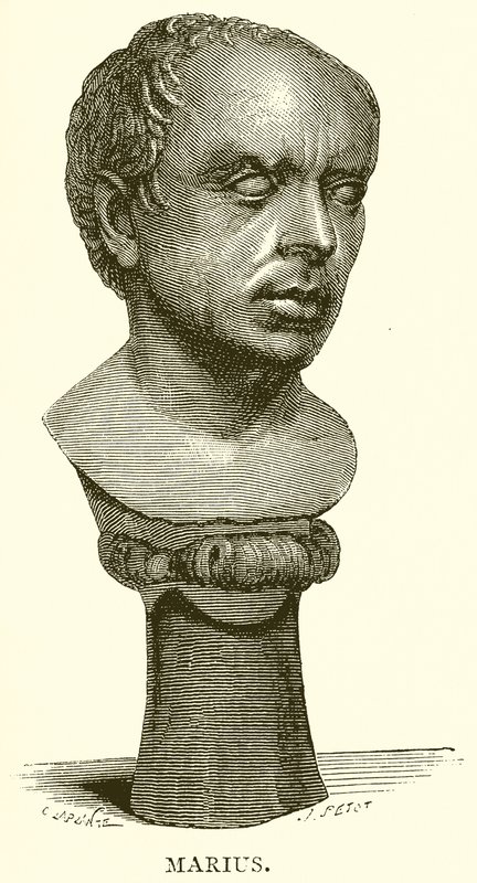 Marius od English School