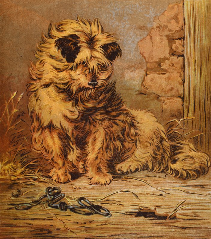 Mistr Jacko (barevná litografie) od English School