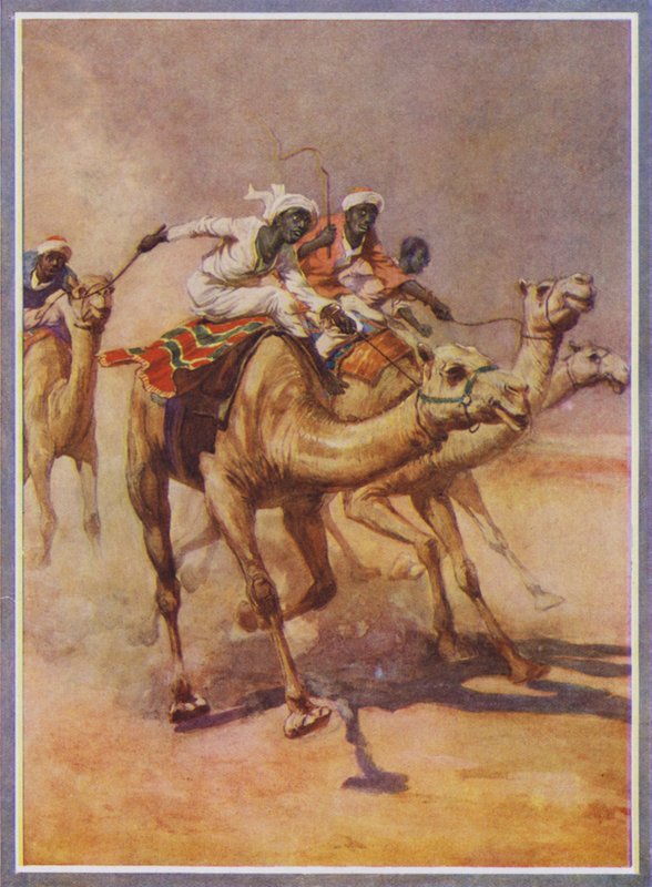 Muži jedoucí na velbloudech v závodě v poušti (barva litho) od English School
