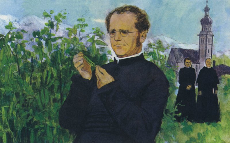 Mendel studuje v klášteře od English School