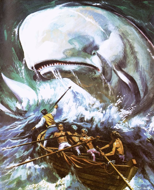 Moby Dick od English School