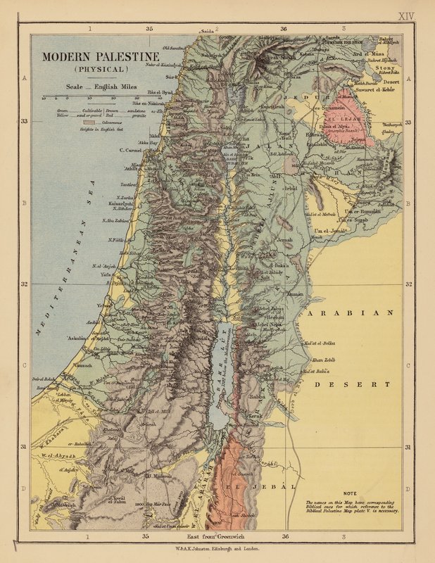 Moderní Palestina (barevná litografie) od English School