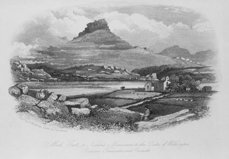 Moel Gest, neboli přírodní památník vévody z Wellingtonu, mezi Tremadocem a Cricciethem od English School