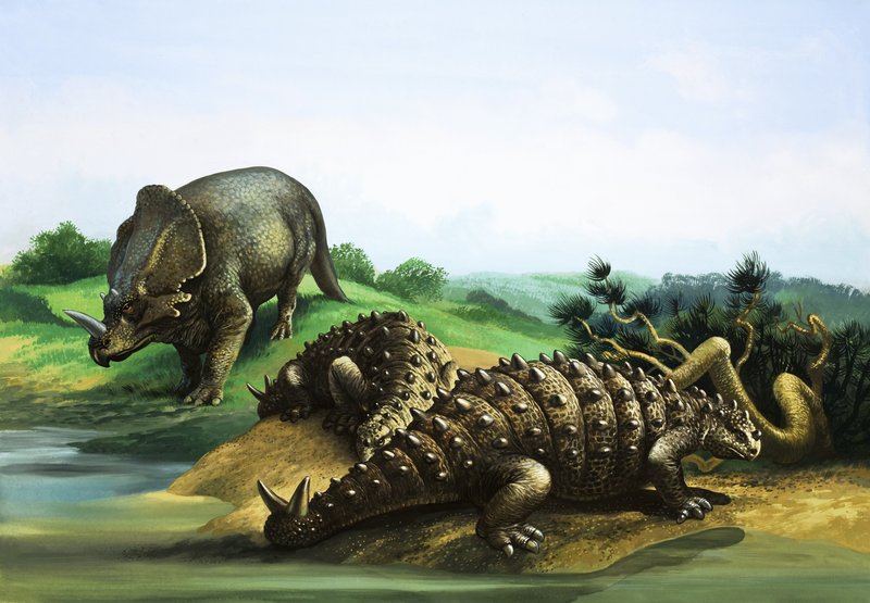 Monoclonius a Scolosaurus od English School