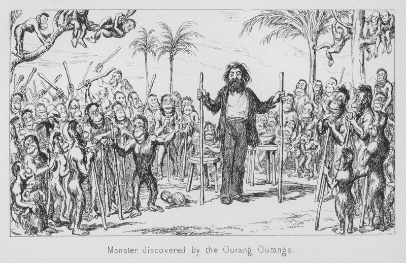 Monstrum objevené Ourang Outangs od English School