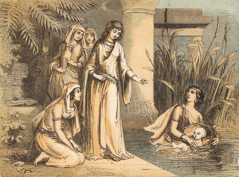 Moses in the Bullrushes (barevná rytina) od English School