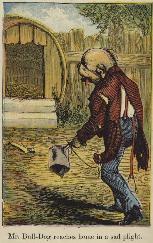 Pan Bull-Dog se dostane domů ve smutné situaci od English School