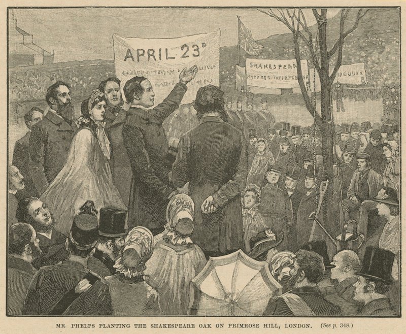 Pan Phelps sází Shakespearův dub na Primrose Hill v Londýně od English School