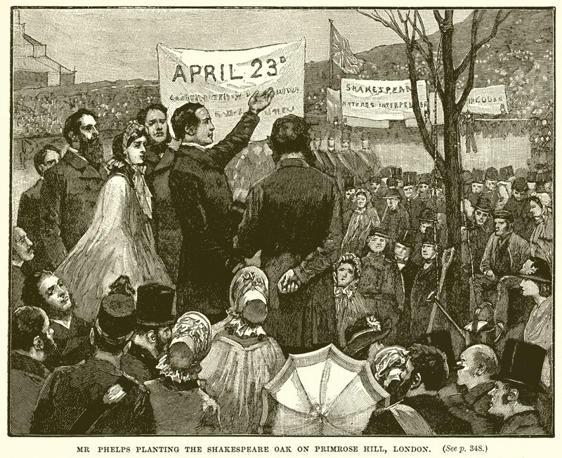 Pan Phelps sází Shakespearův dub na Primrose Hill v Londýně od English School