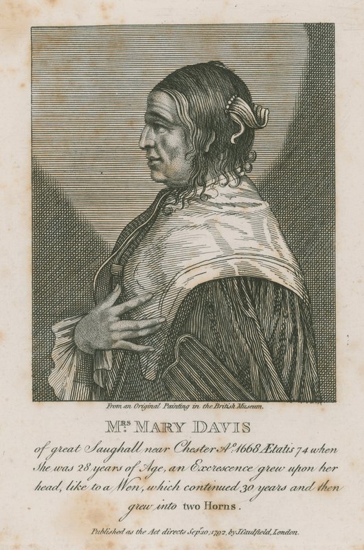Paní Mary Davis z velkého Saughall poblíž Chesteru, 1668 od English School