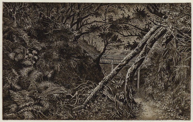 Mulgrave Woods, nedaleko Whitby (litografie) od English School