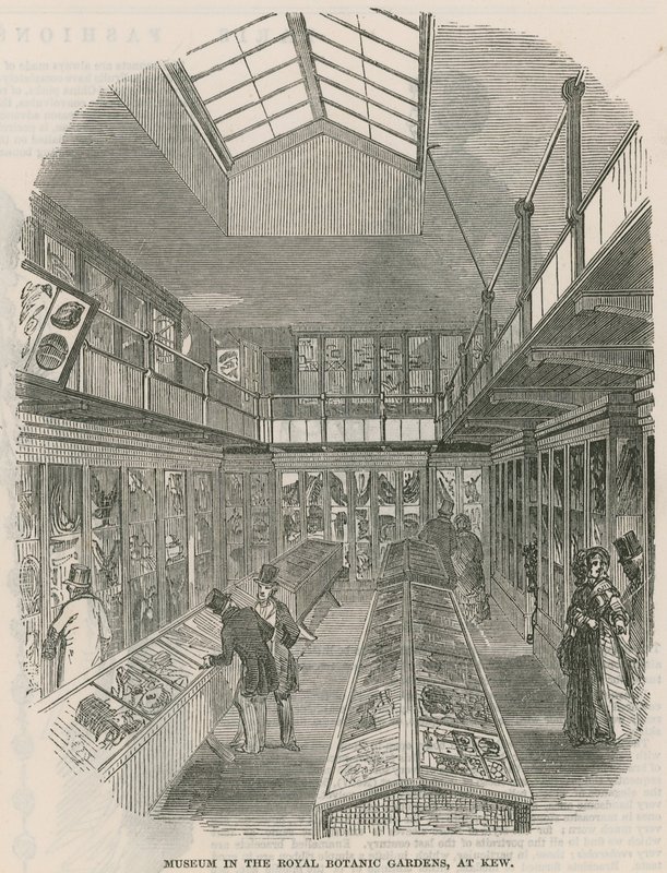 Muzeum v Královské botanické zahradě v Kew od English School