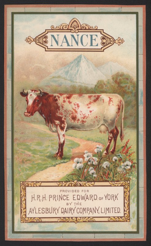 Nance, reklama pro Aylesbury Dairy Company od English School