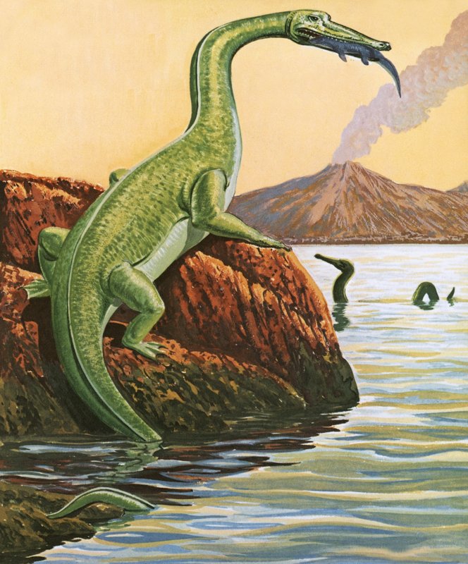 Nathosaurus při jídle od English School