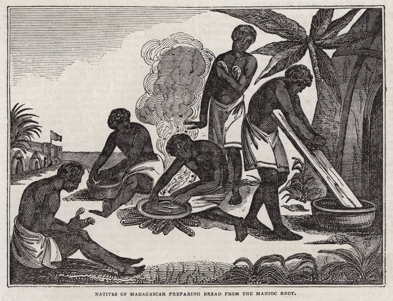 Domorodci z Madagaskaru připravující chléb z kořene manioku (rytina) od English School