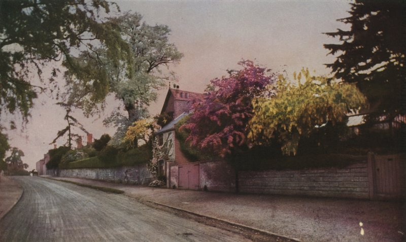 Krása přírody odhalená v barvách fotografií (barevná fotografie) od English School