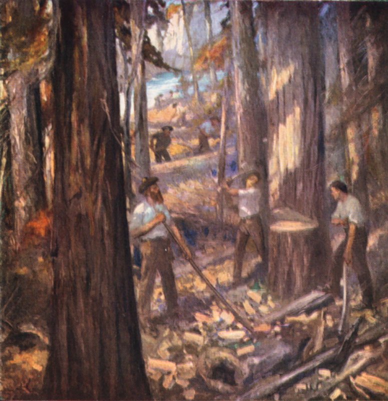 Nový Brunšvik, William Davidson, první kanadský dřevorubec, řezající stěžně pro britské námořnictvo (barevná litografie) od English School