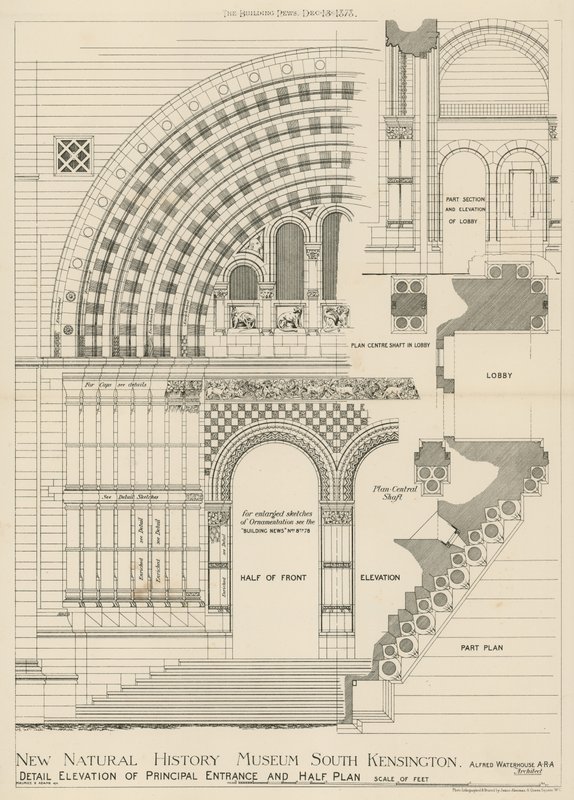New Natural History Museum, South Kensington, Londýn od English School