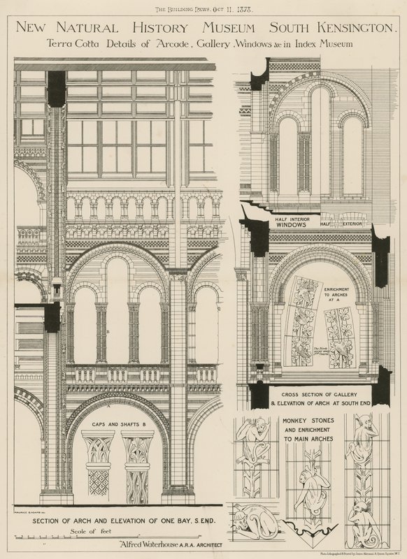 New Natural History Museum, South Kensington, Londýn od English School