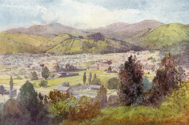 Nový Zéland: Nelson (barevná litografie) od English School