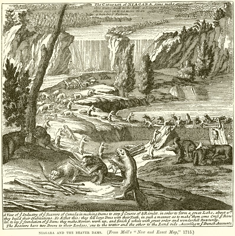 Niagara a Bobří přehrady od English School