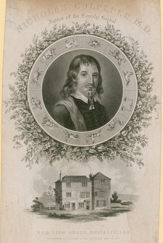 Nicholas Culpepper, MD od English School