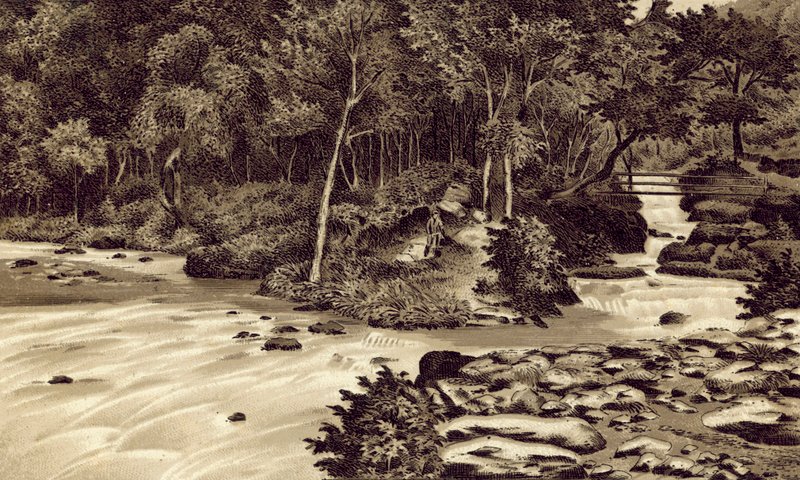 Severní Devon: "The Watersmeet", Lynmouth (litografie) od English School