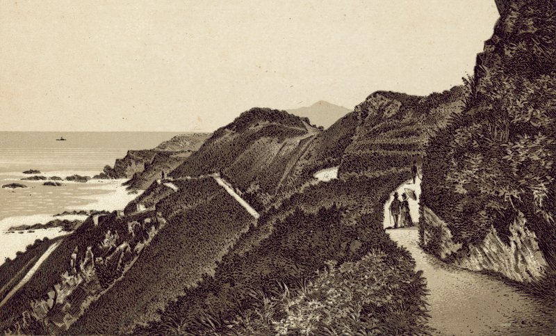 Severní Devon: Torrs Walks, pohled na východ (litografie) od English School
