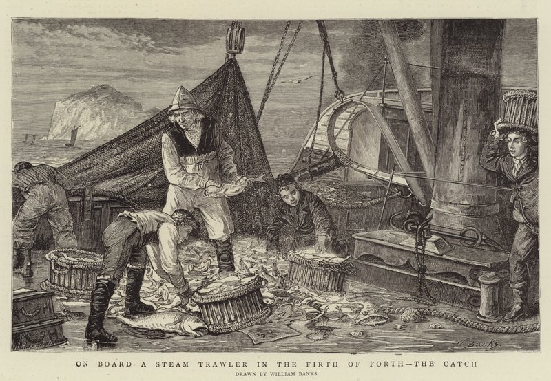 Na palubě parního trawleru v Firth of Forth, Catch od English School