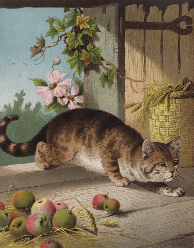 Náš Tom (chromolitho) od English School