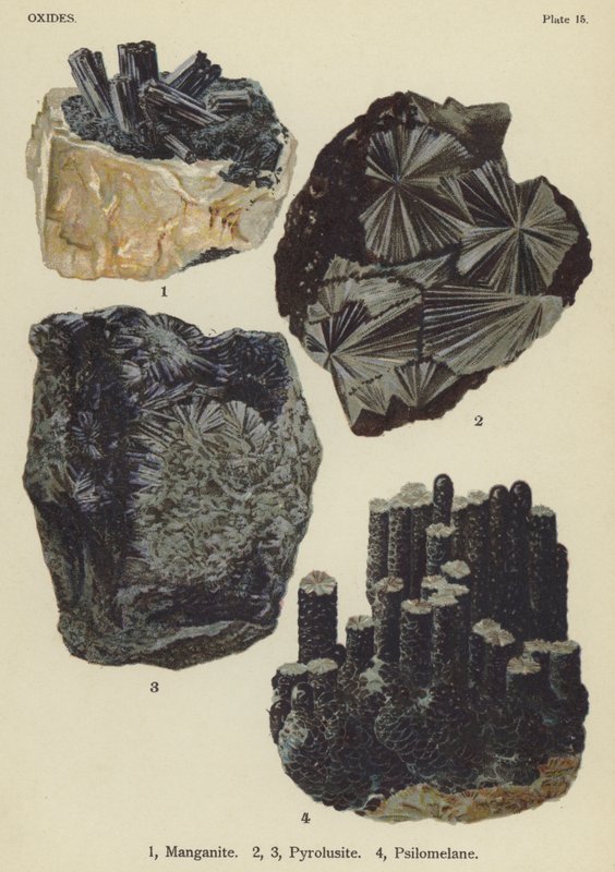 Ještěrky, Manganit, Pyrolisite, Psilomelan (barevný kámen) od English School