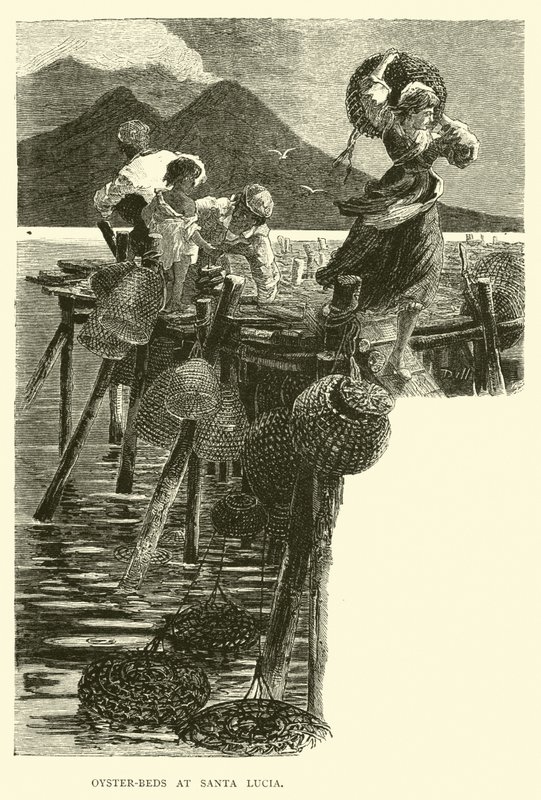 Ústřicové postele v Santa Lucia od English School