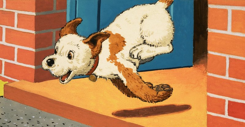 Štěně Paddy-Paws od English School