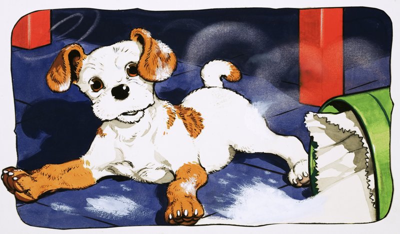 Paddy Paws od English School