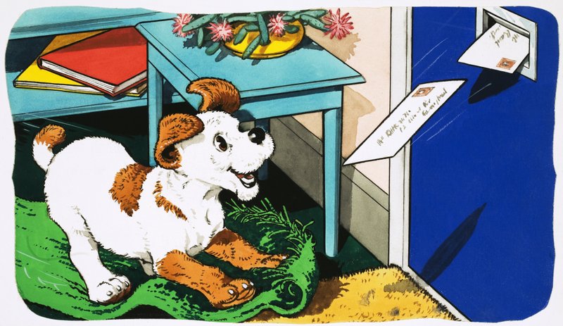 Paddy Paws od English School
