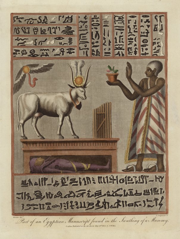 Část egyptského rukopisu nalezeného v Swathing of a Mumie od English School