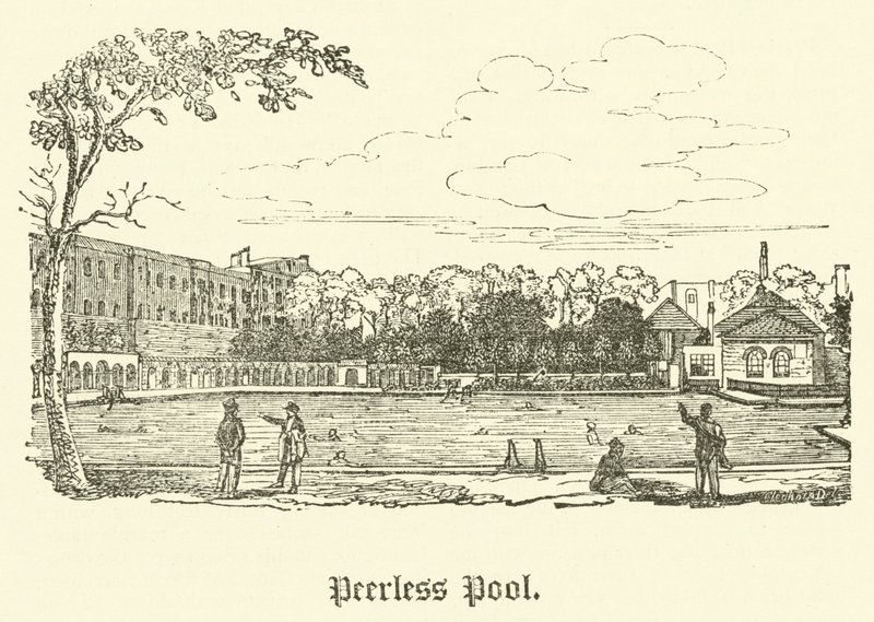 Peerless Pool (rytina) od English School