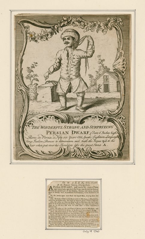perský trpaslík od English School