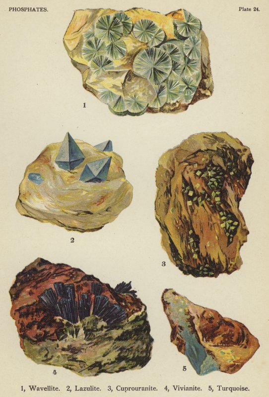 Fosfáty, wavellit, lazulit, cuprouranit, vivianit, tyrkys (barva litho) od English School