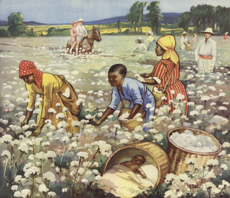 Sbírání bavlny na americké plantáži (barva litho) od English School