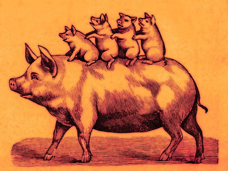 Prase se svými selaty, ilustrace z Coles Funny Picture Book (digitálně vylepšený obrázek) od English School