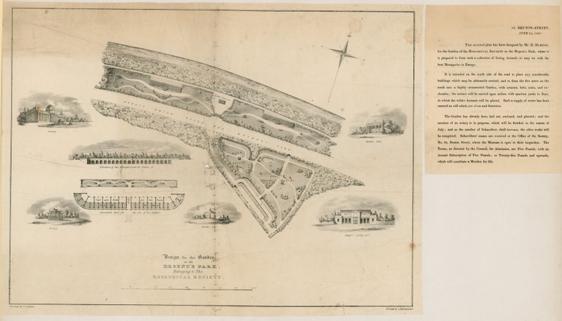 Plán zoologické zahrady, Regents Park, 1827 od English School