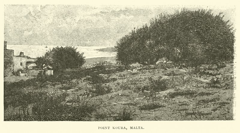 Point Koura, Malta od English School