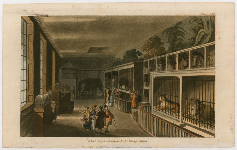 Politos Royal Menagerie, Exeter Change, Strand od English School