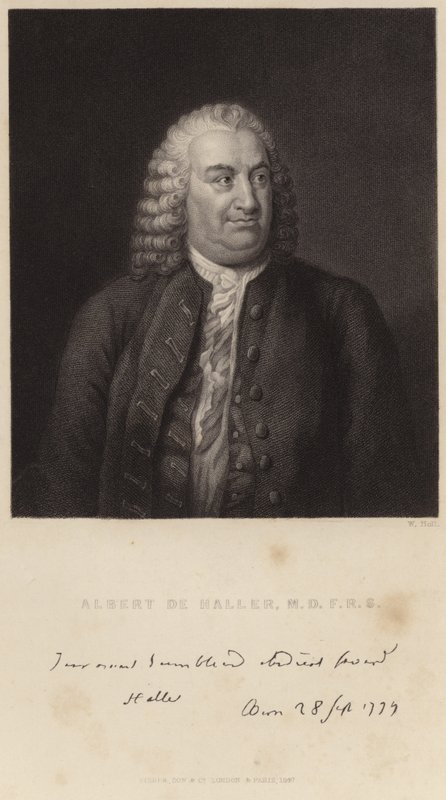 Portrét Alberta de Hallera od English School