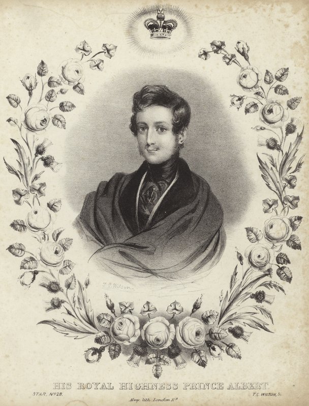 Portrét Alberta, Prince Consort od English School